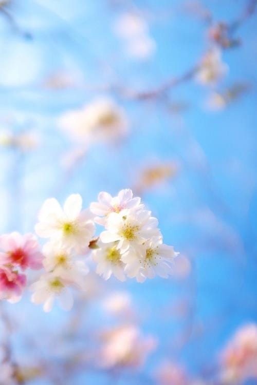 伤感励志说说人生感悟