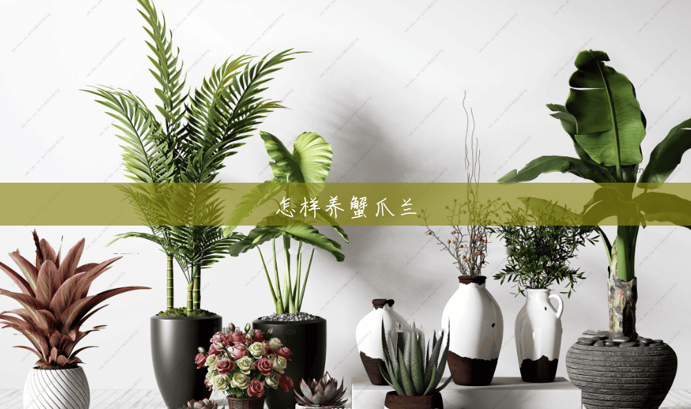 怎样养蟹爪兰