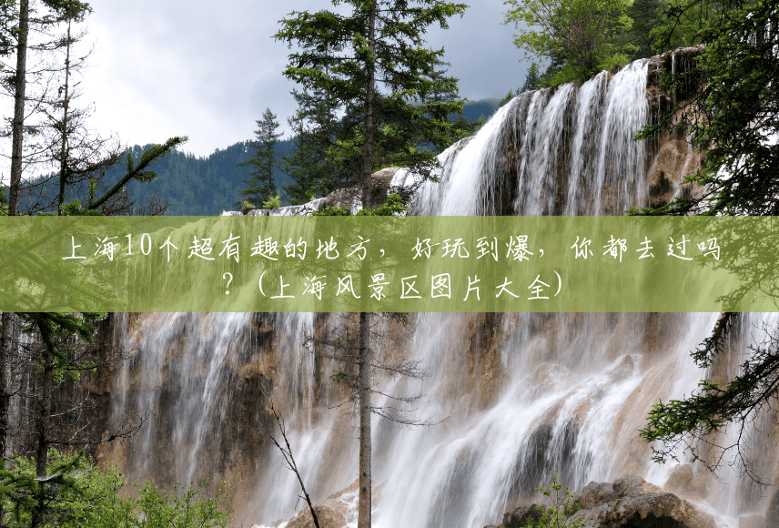 上海10个超有趣的地方，好玩到爆，你都去过吗？(上海风景区图片大全)