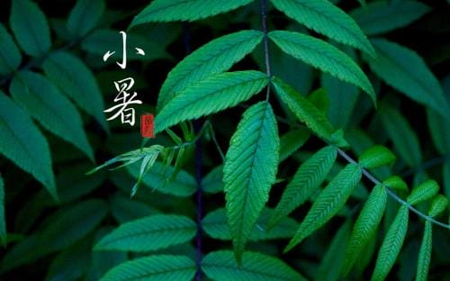 给女生留言的短句暖心