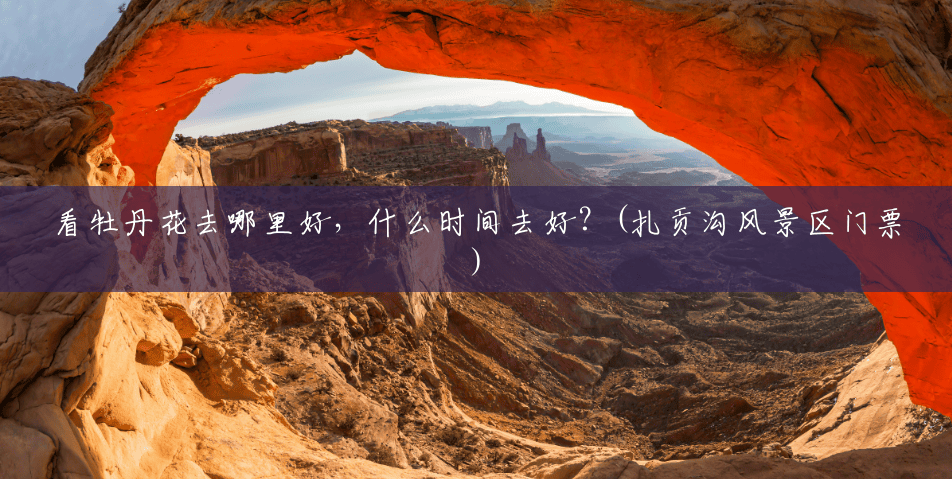 看牡丹花去哪里好,什么时间去好?(扎贡沟风景区门票) 看牡丹花去哪里好,什么时间去好?(扎贡沟风景区门票)