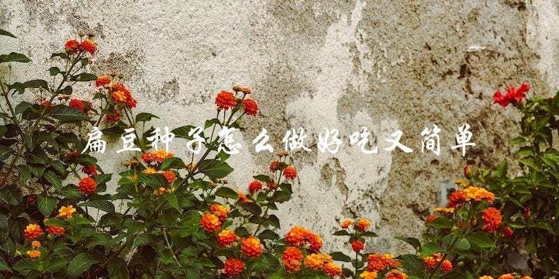 扁豆种子怎么做好吃又简单 扁豆种子怎么做好吃又简单