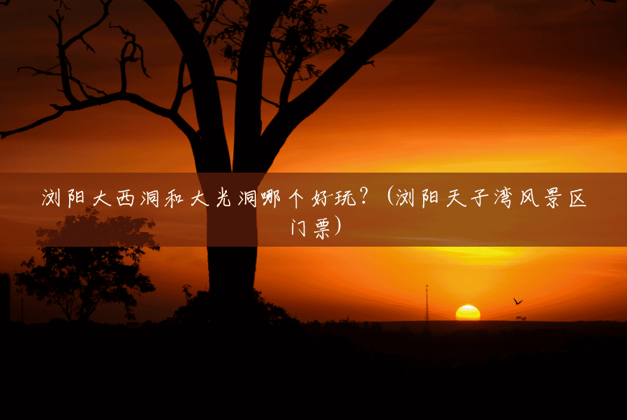 浏阳大西洞和大光洞哪个好玩？(浏阳天子湾风景区门票)