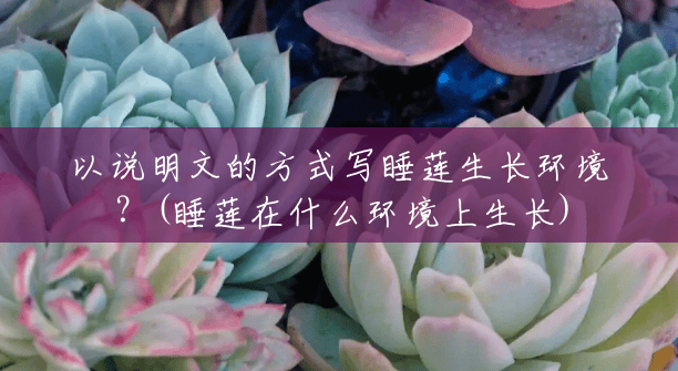 以说明文的方式写睡莲生长环境?(睡莲在什么环境上生长) 以说明文的方式写睡莲生长环境?(睡莲在什么环境上生长)