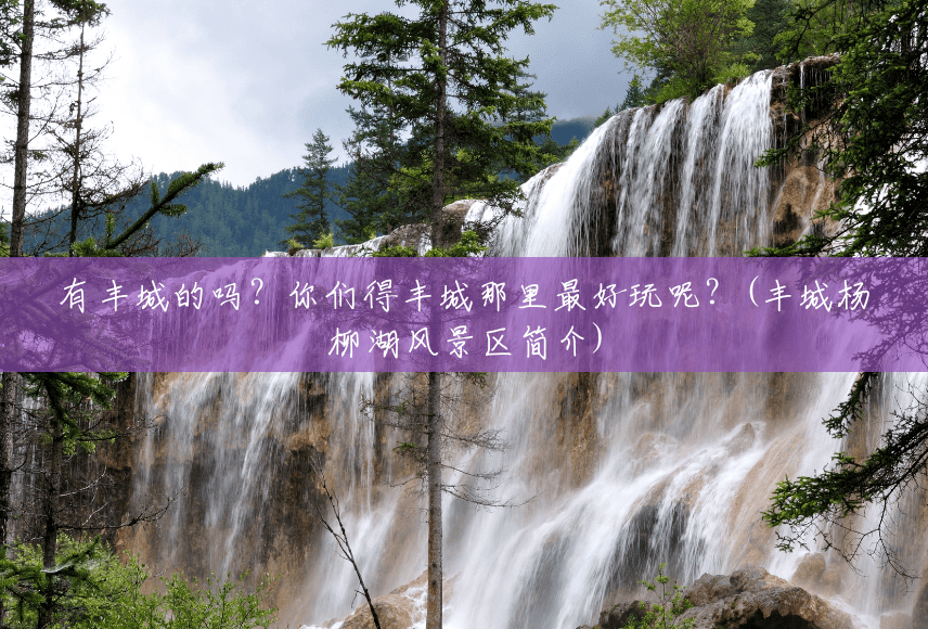 有丰城的吗?你们得丰城那里最好玩呢?(丰城杨柳湖风景区简介) 有丰城的吗?你们得丰城那里最好玩呢?(丰城杨柳湖风景区简介)