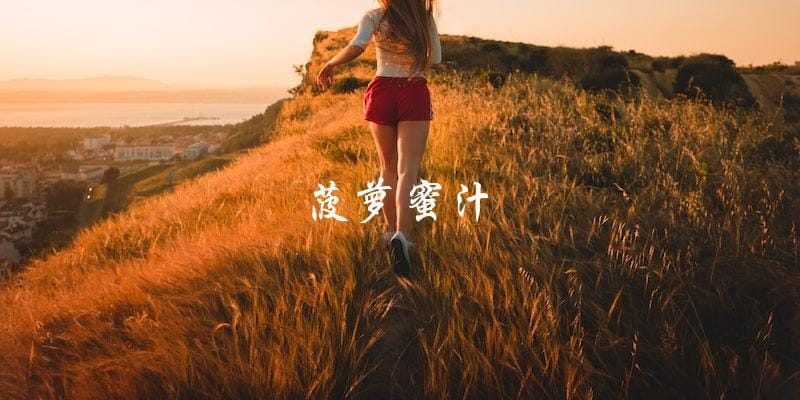 菠萝蜜汁 菠萝蜜汁