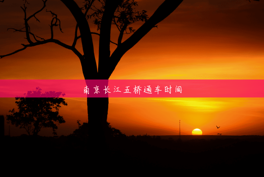 南京长江五桥通车时间 南京长江五桥通车时间