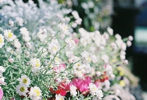 机遇与挑战的名言