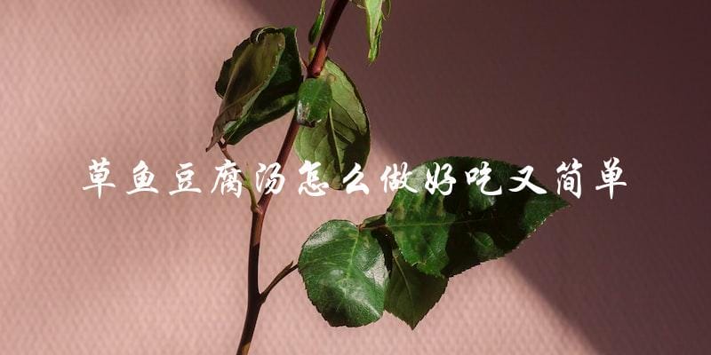 草鱼豆腐汤,简单易做,美味可口! 草鱼豆腐汤,简单易做,美味可口!