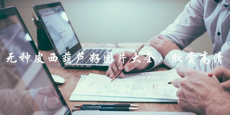 无种皮西葫芦籽图片大全：欣赏高清大图！