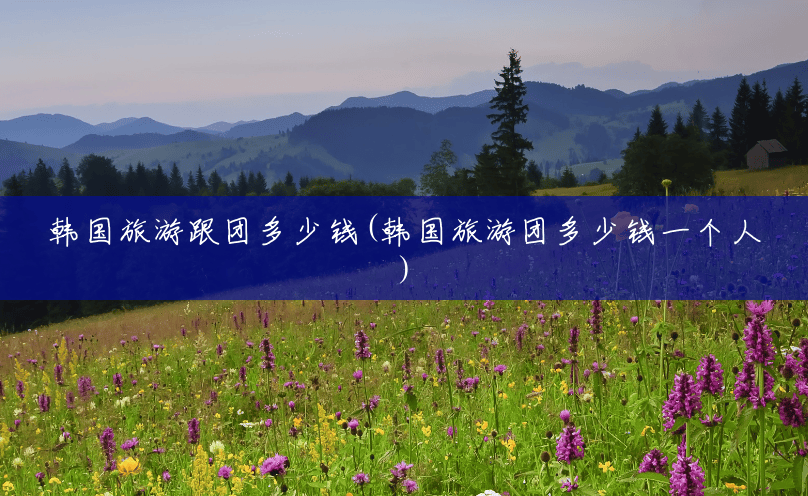 韩国旅游跟团多少钱(韩国旅游团多少钱一个人) 韩国旅游跟团多少钱(韩国旅游团多少钱一个人)