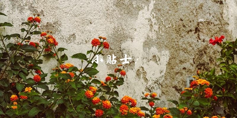 小贴士: 小贴士: