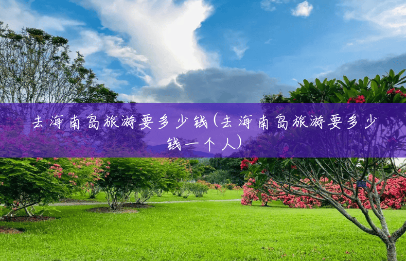 去海南岛旅游要多少钱(去海南岛旅游要多少钱一个人)