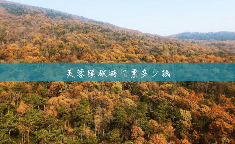 芙蓉镇旅游门票多少钱 芙蓉镇旅游门票多少钱