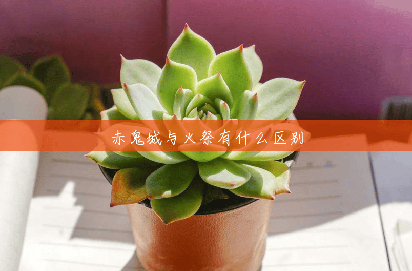 赤鬼城与火祭有什么区别 赤鬼城与火祭有什么区别
