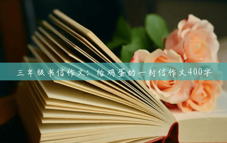 三年级书信作文:给鸡蛋的一封信作文400字 三年级书信作文:给鸡蛋的一封信作文400字