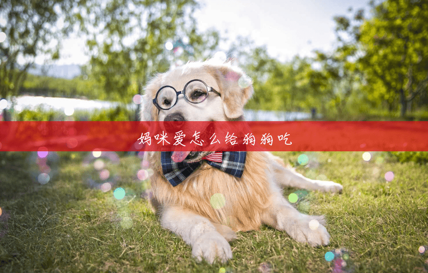 妈咪爱怎么给狗狗吃 妈咪爱怎么给狗狗吃