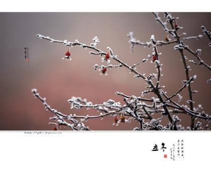 领导调任送行祝福语