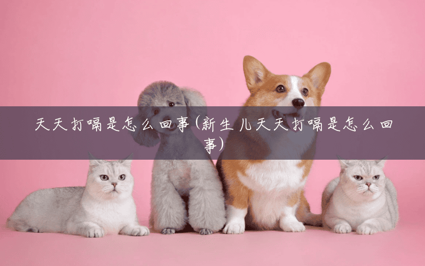 天天打嗝是怎么回事(新生儿天天打嗝是怎么回事) 天天打嗝是怎么回事(新生儿天天打嗝是怎么回事)