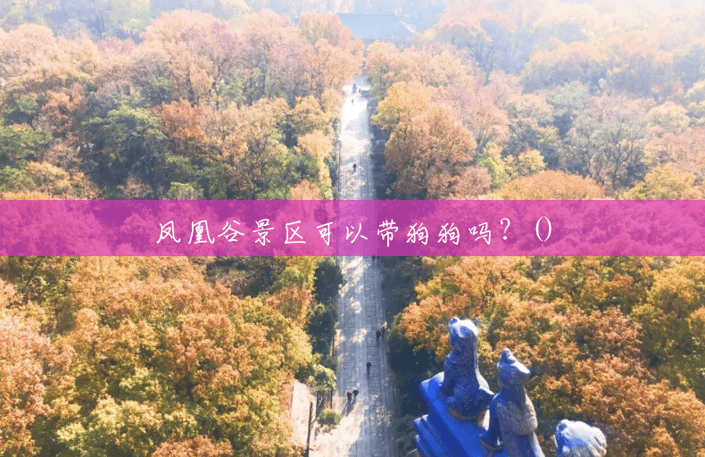 凤凰谷景区可以带狗狗吗?() 凤凰谷景区可以带狗狗吗?()