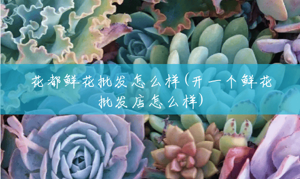 花都鲜花批发怎么样(开一个鲜花批发店怎么样)