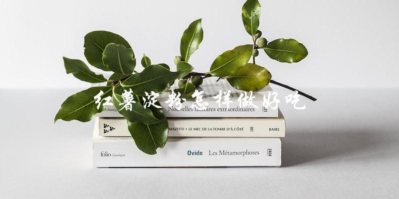 如何让红薯淀粉变得美味可口? 如何让红薯淀粉变得美味可口?