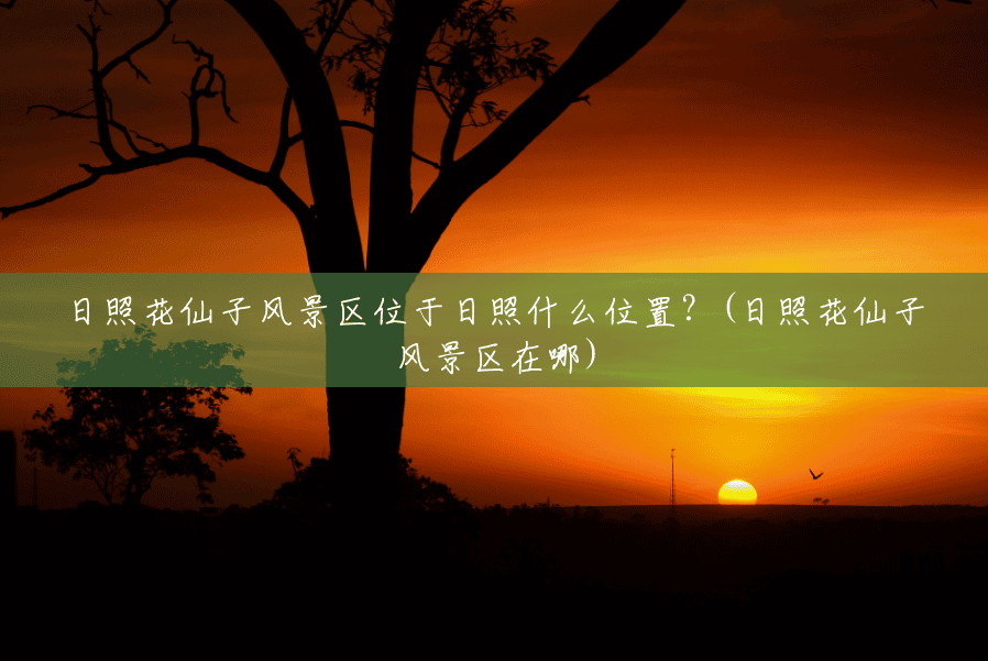日照花仙子风景区位于日照什么位置?(日照花仙子风景区在哪) 日照花仙子风景区位于日照什么位置?(日照花仙子风景区在哪)