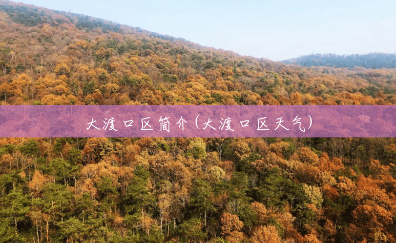 大渡口区简介(大渡口区天气) 大渡口区简介(大渡口区天气)