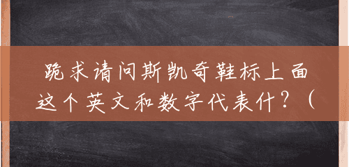 跪求请问斯凯奇鞋标上面这个英文和数字代表什?(斯凯奇us9码是多大) 跪求请问斯凯奇鞋标上面这个英文和数字代表什?(斯凯奇us9码是多大)