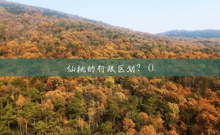 仙桃的行政区划?() 仙桃的行政区划?()