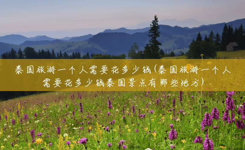 泰国旅游一个人需要花多少钱(泰国旅游一个人需要花多少钱泰国景点有那些地方) 泰国旅游一个人需要花多少钱(泰国旅游一个人需要花多少钱泰国景点有那些地方)