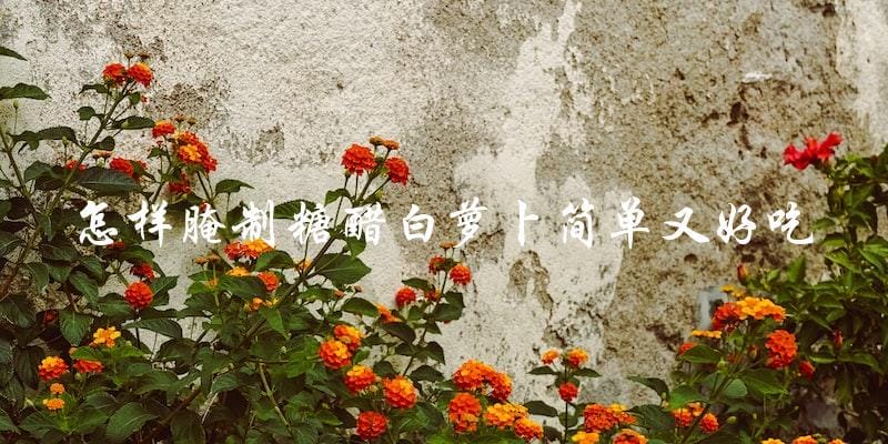 简单又好吃!教你怎样腌制糖醋白萝卜 简单又好吃!教你怎样腌制糖醋白萝卜