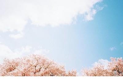 抖音中令人落泪的句子
