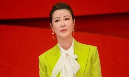 杜华退出乐华股份(乐华老板杜华是什么来头) 杜华退出乐华股份(乐华老板杜华是什么来头)