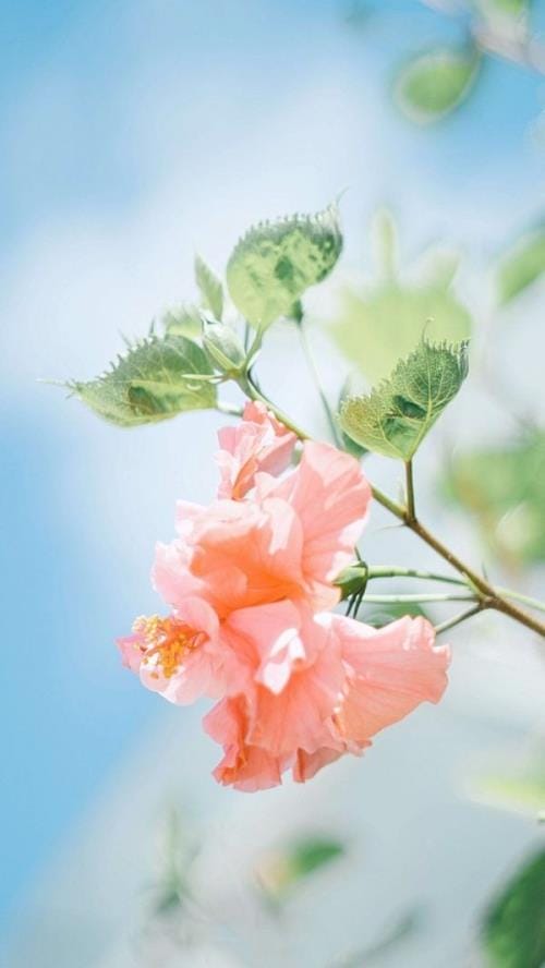 本年企业对客户祝福语