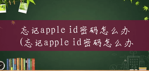 忘记apple id密码怎么办(忘记apple id密码怎么办怎么找回)