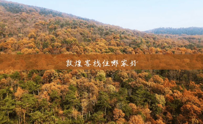 敦煌客栈住哪家好