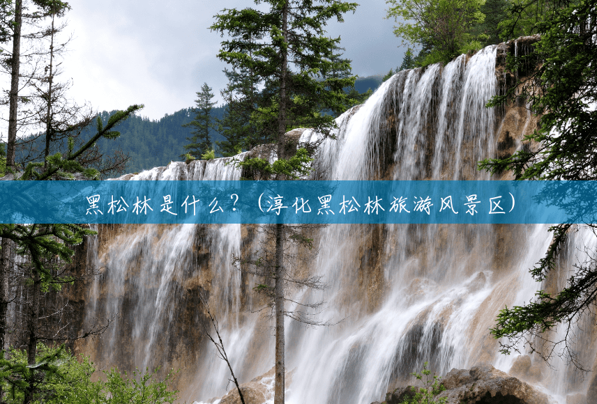 黑松林是什么?(淳化黑松林旅游风景区) 黑松林是什么?(淳化黑松林旅游风景区)
