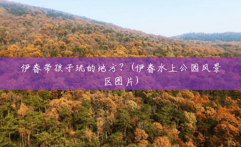 伊春带孩子玩的地方?(伊春水上公园风景区图片) 伊春带孩子玩的地方?(伊春水上公园风景区图片)