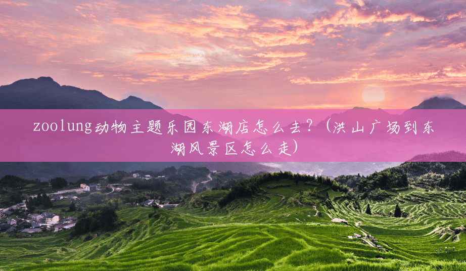 zoolung动物主题乐园东湖店怎么去?(洪山广场到东湖风景区怎么走) zoolung动物主题乐园东湖店怎么去?(洪山广场到东湖风景区怎么走)