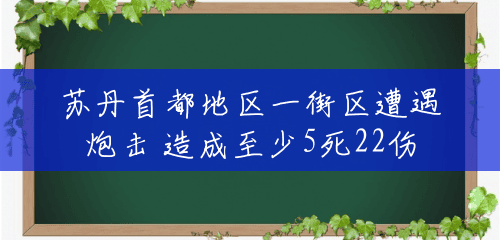 苏丹首都地区一街区遭遇炮击 造成至少5死22伤