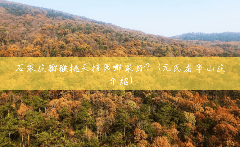 石家庄猕猴桃采摘园哪家好?(元氏龙华山庄介绍) 石家庄猕猴桃采摘园哪家好?(元氏龙华山庄介绍)