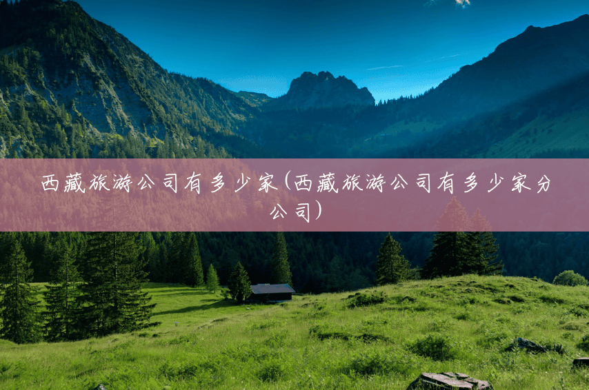 西藏旅游公司有多少家(西藏旅游公司有多少家分公司) 西藏旅游公司有多少家(西藏旅游公司有多少家分公司)