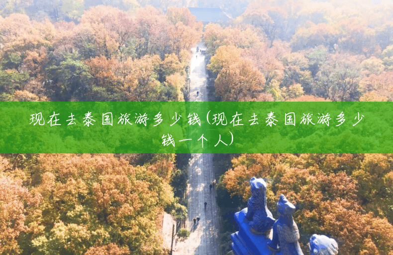现在去泰国旅游多少钱(现在去泰国旅游多少钱一个人)