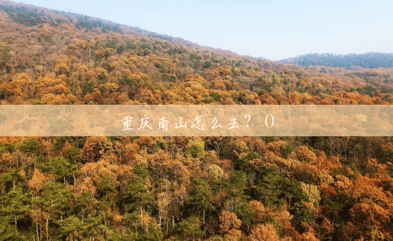 重庆南山怎么去?() 重庆南山怎么去?()