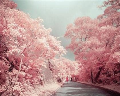 幽默的元宵节短信