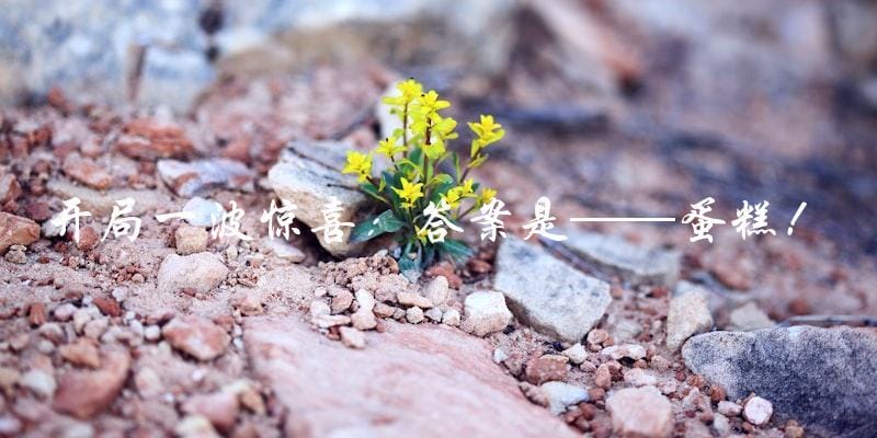 开局一波惊喜：答案是——蛋糕！