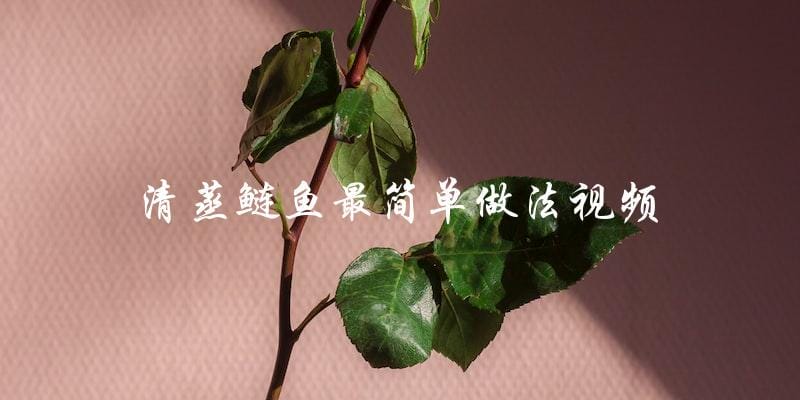 最简单的清蒸鲢鱼做法视频，一看就会！