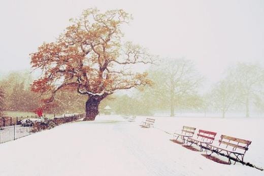 爱国主义的句子300