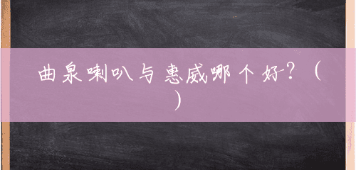 曲泉喇叭与惠威哪个好?() 曲泉喇叭与惠威哪个好?()